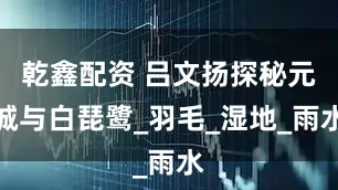 乾鑫配资 吕文扬探秘元诚与白琵鹭_羽毛_湿地_雨水